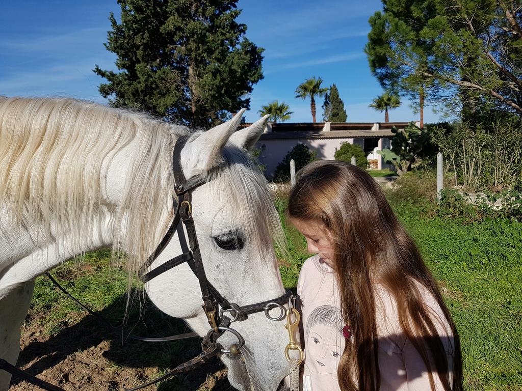 Finca Caballo Blanco Hotel Montuiri  Bagian luar foto