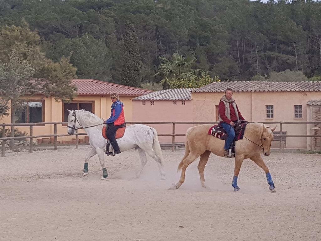 Finca Caballo Blanco Hotel Montuiri  Bagian luar foto